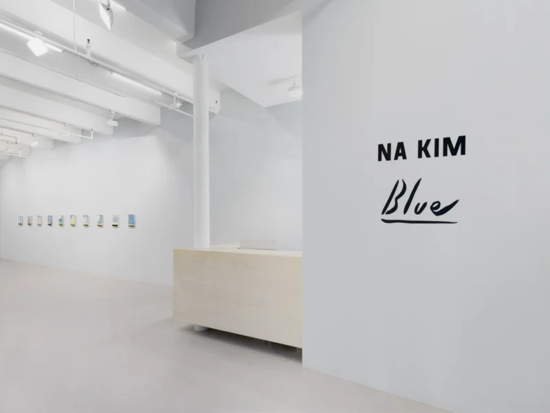 Installation shot from Na Kim: Blue, @ Nicola Vassell Gallery
