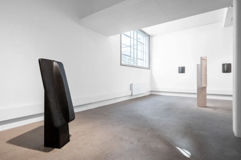 Installation shot from Mac Collins: Between the Rafters, @ Palmer Gallery