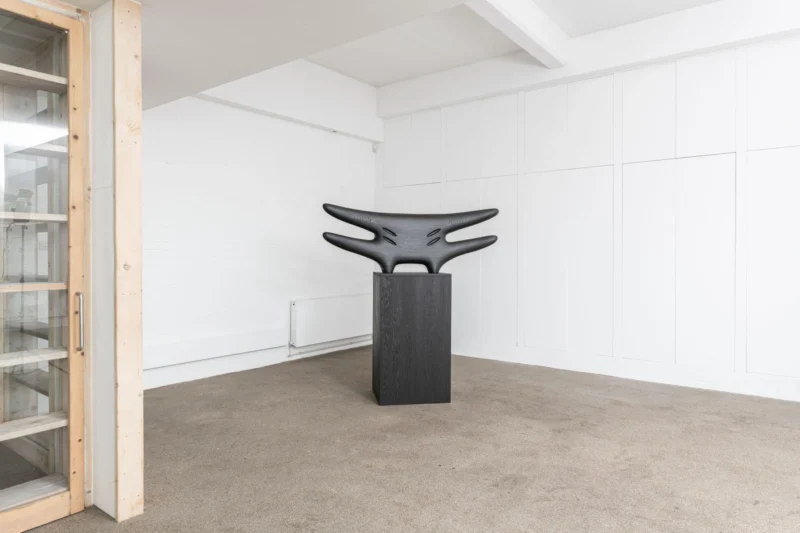 Installation shot from Mac Collins: Between the Rafters, @ Palmer Gallery