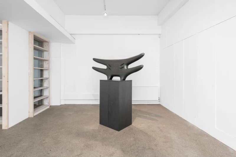 Installation shot from Mac Collins: Between the Rafters, @ Palmer Gallery