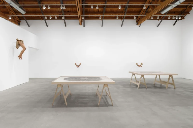 Installation shot from Paul Pfeiffer: Olympia, @ Perrotin