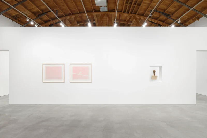 Installation shot from Paul Pfeiffer: Olympia, @ Perrotin