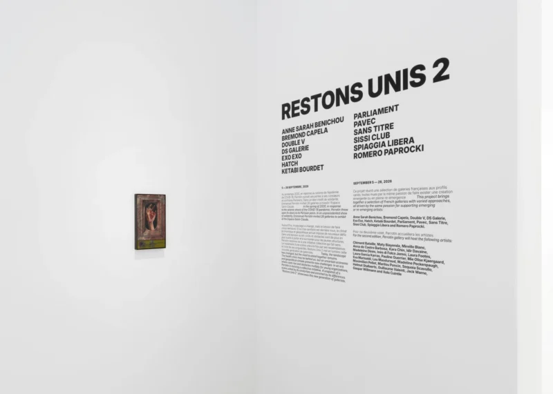Installation shot from Restons Unis 2, @ Perrotin