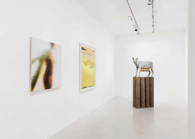 Installation shot from Restons Unis 2, @ Perrotin