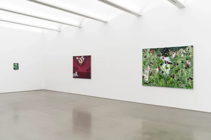 Installation shot from Nikki Maloof: Menagerie, @ Perrotin