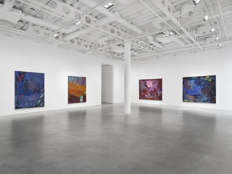 Installation shot from Mary Ramsden: The Feeling of What Happens, @ Pilar Corrias