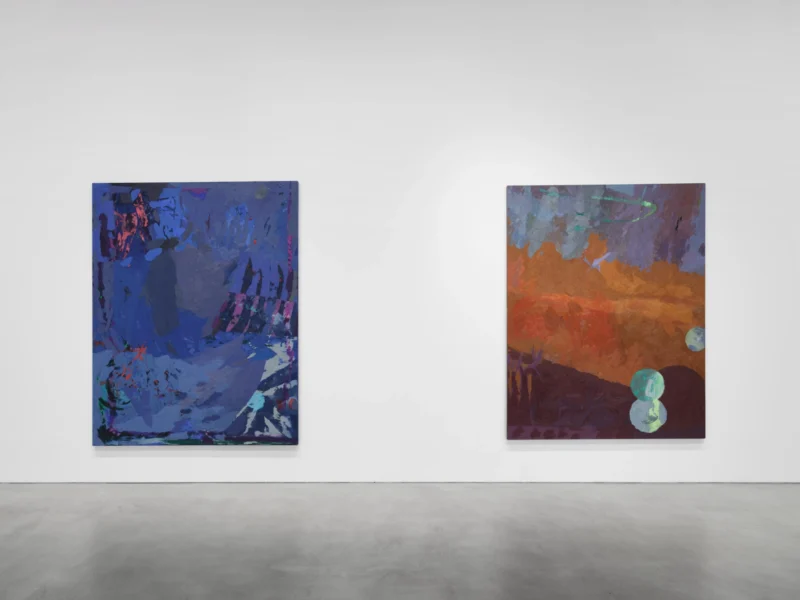 Installation shot from Mary Ramsden: The Feeling of What Happens, @ Pilar Corrias