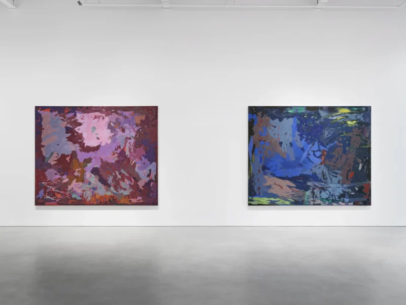 Installation shot from Mary Ramsden: The Feeling of What Happens, @ Pilar Corrias
