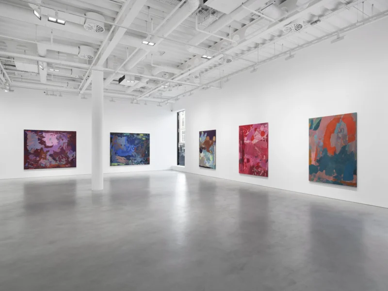 Installation shot from Mary Ramsden: The Feeling of What Happens, @ Pilar Corrias