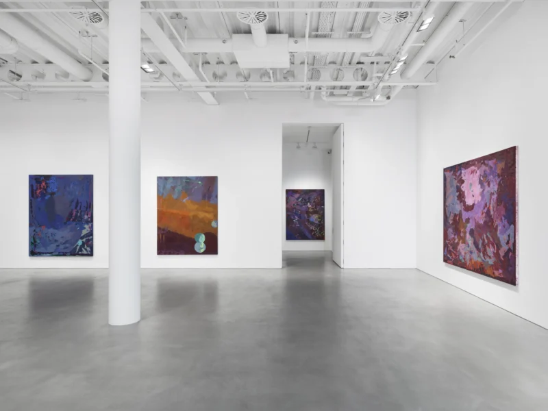 Installation shot from Mary Ramsden: The Feeling of What Happens, @ Pilar Corrias