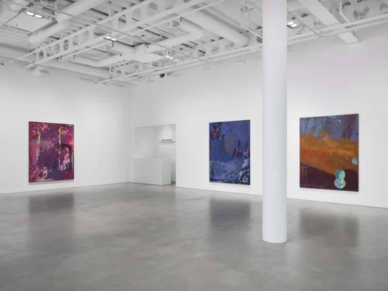 Installation shot from Mary Ramsden: The Feeling of What Happens, @ Pilar Corrias