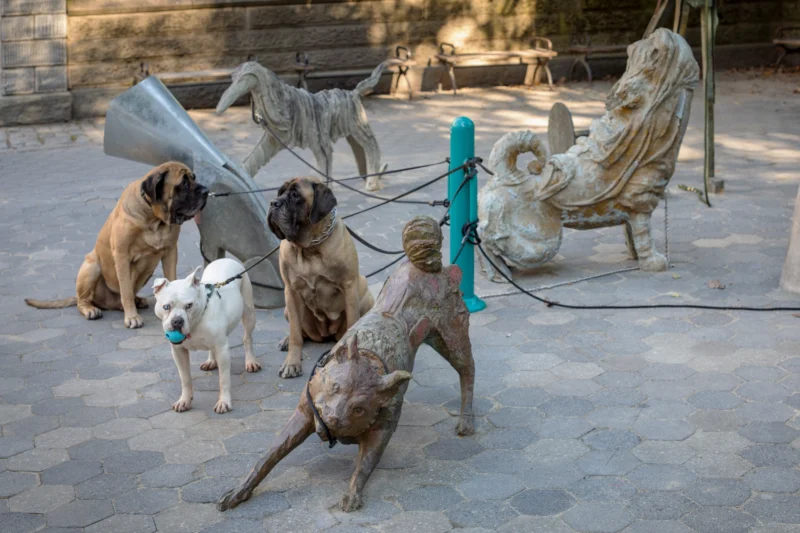 Installation shot from Camille Henrot: Dogs, @ Public Art Fund