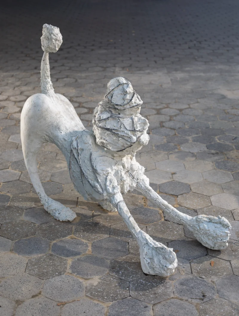 Installation shot from Camille Henrot: Dogs, @ Public Art Fund