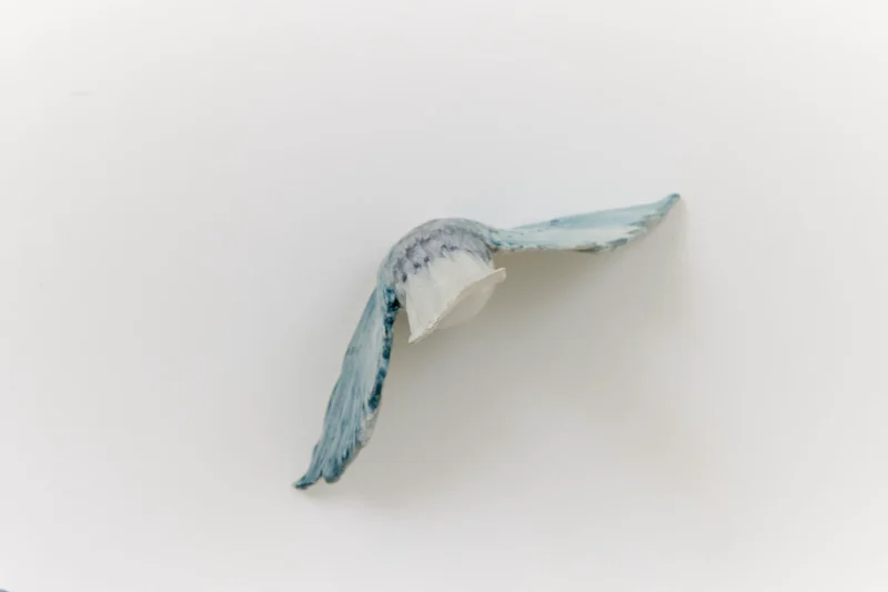 Ruth Beraha, Fortune’s always hiding, I’ve looked everywhere, 2024 – 2026