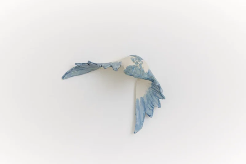 Ruth Beraha, Fortune’s always hiding, I’ve looked everywhere, 2024 – 2026