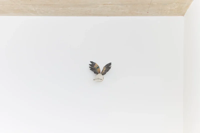Ruth Beraha, Fortune’s always hiding, I’ve looked everywhere, 2024 – 2026