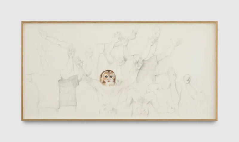 Ruth Beraha, Everybody (Tawny owl), 2026