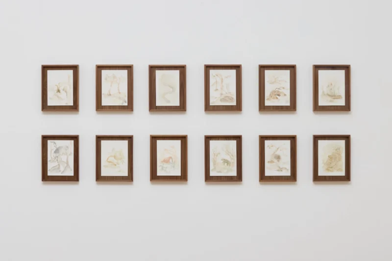 Installation shot from Woo Jin Joo: Bodily Inbetweenness, @ Ruup & Form