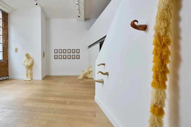 Installation shot from Woo Jin Joo: Bodily Inbetweenness, @ Ruup & Form