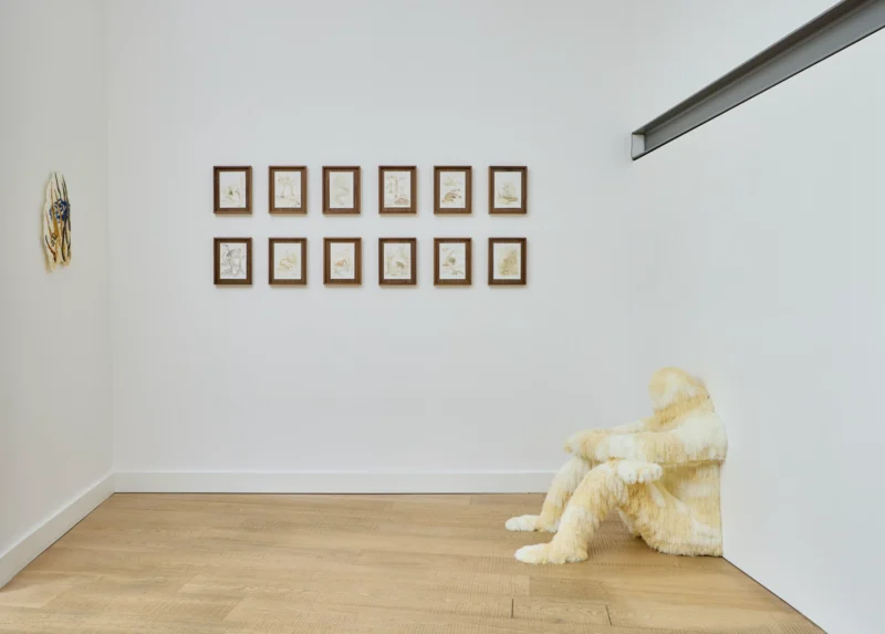 Installation shot from Woo Jin Joo: Bodily Inbetweenness, @ Ruup & Form