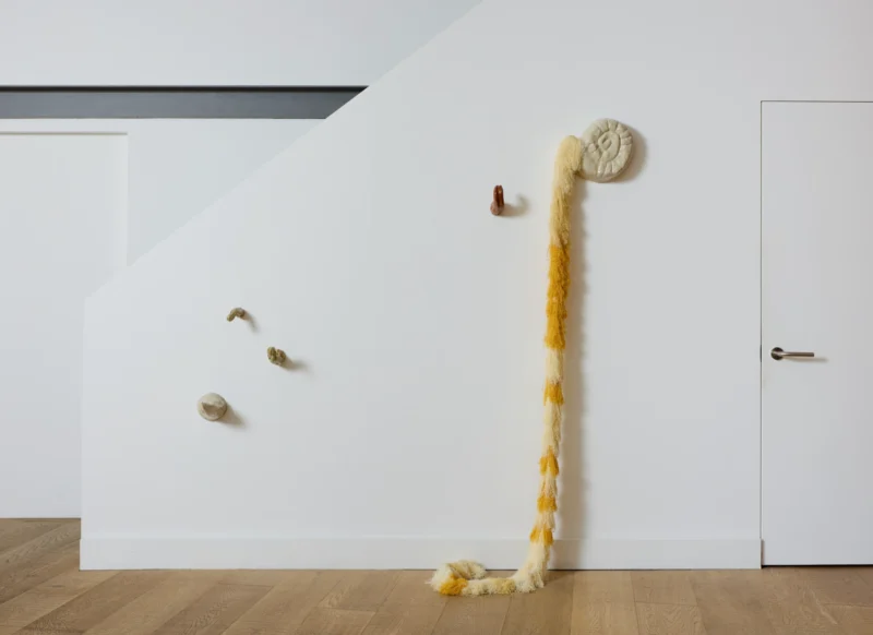 Installation shot from Woo Jin Joo: Bodily Inbetweenness, @ Ruup & Form