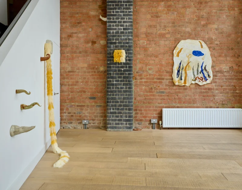 Installation shot from Woo Jin Joo: Bodily Inbetweenness, @ Ruup & Form