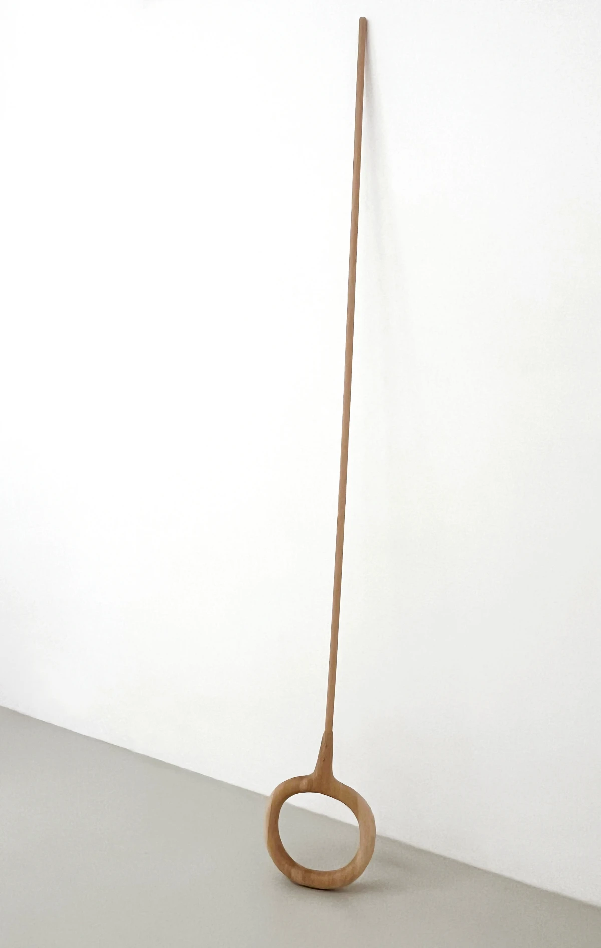 Isa Schieche, Ringtool, 2023