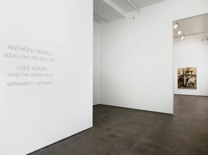 Installation shot from Luke Agada: When the Center Holds, @ Sean Kelly Gallery