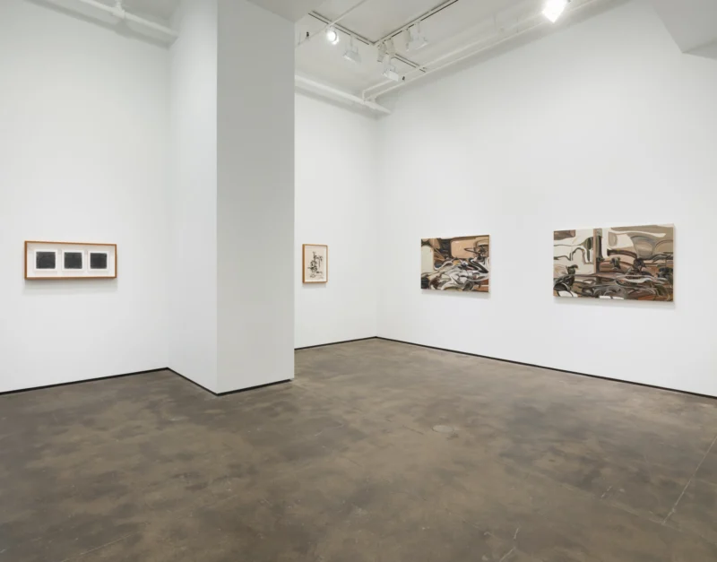 Installation shot from Luke Agada: When the Center Holds, @ Sean Kelly Gallery