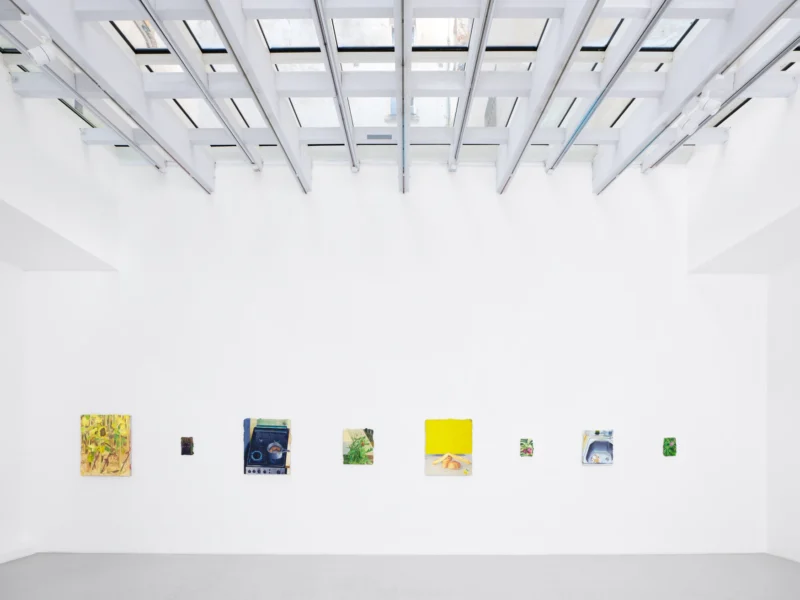 Installation shot from Mathieu Cherkit: Tendrement, @ Semiose