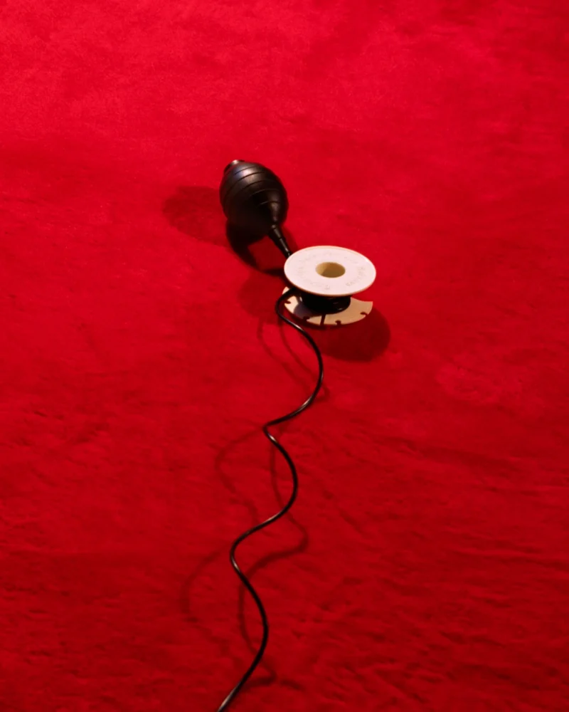 Shaun Pierson, Untitled (Cable Release), 2026