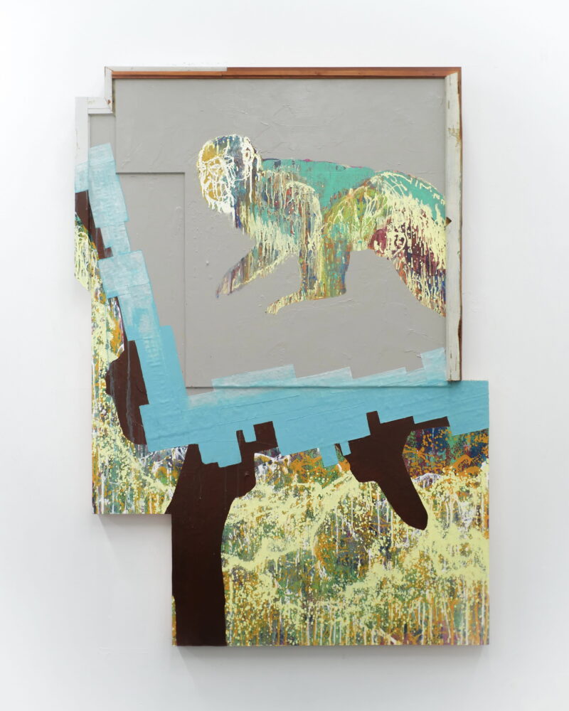 Sun Yihan, Macaques, Earth Veins and Fungal Colonies, 2026