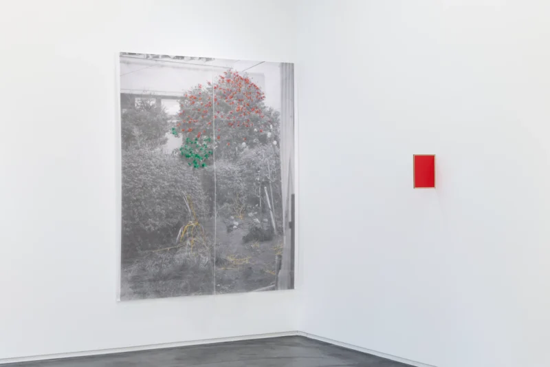 Installation shot from Kei Takemura: Garden Next Door, @ Taka Ishii Gallery