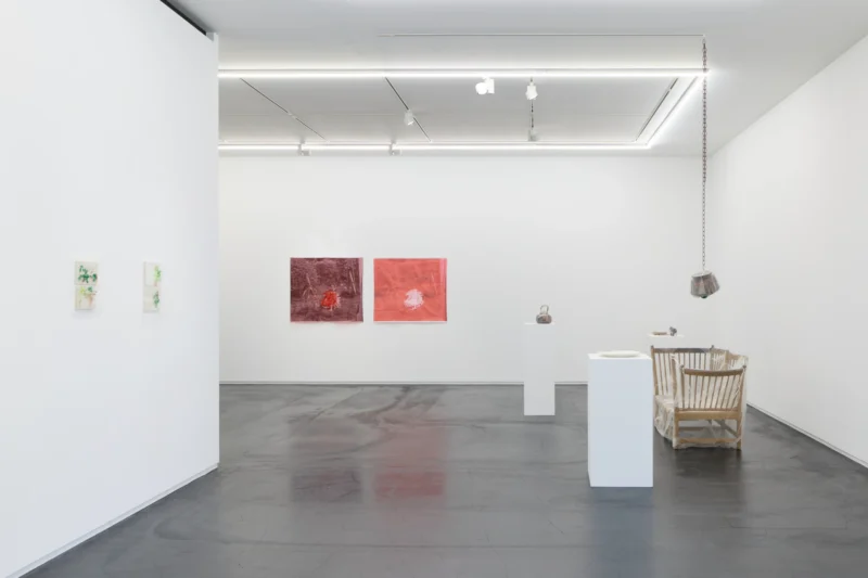 Installation shot from Kei Takemura: Garden Next Door, @ Taka Ishii Gallery