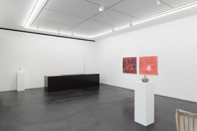 Installation shot from Kei Takemura: Garden Next Door, @ Taka Ishii Gallery