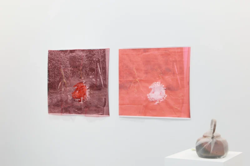 Installation shot from Kei Takemura: Garden Next Door, @ Taka Ishii Gallery
