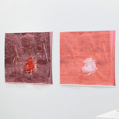 Image from Kei Takemura: Garden Next Door, at Taka Ishii Gallery