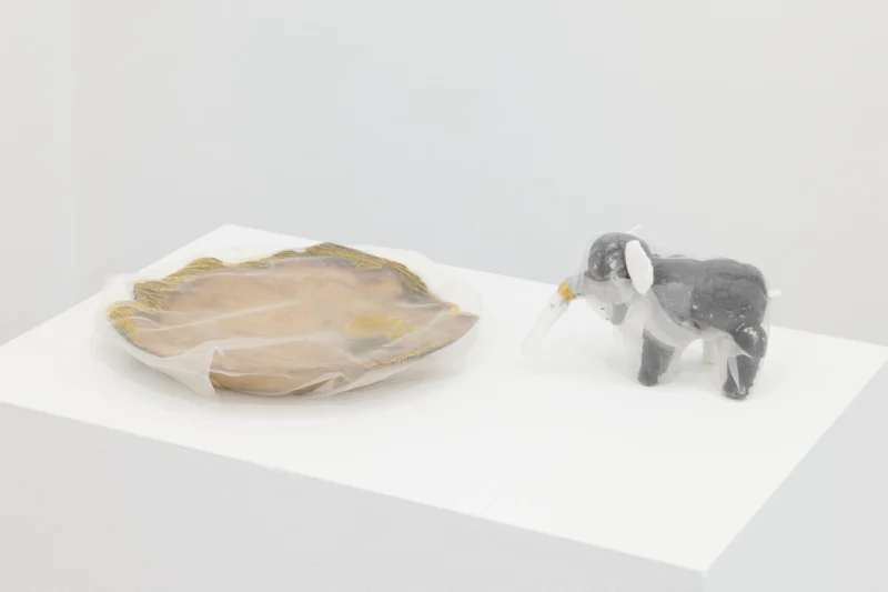 Installation shot from Kei Takemura: Garden Next Door, @ Taka Ishii Gallery