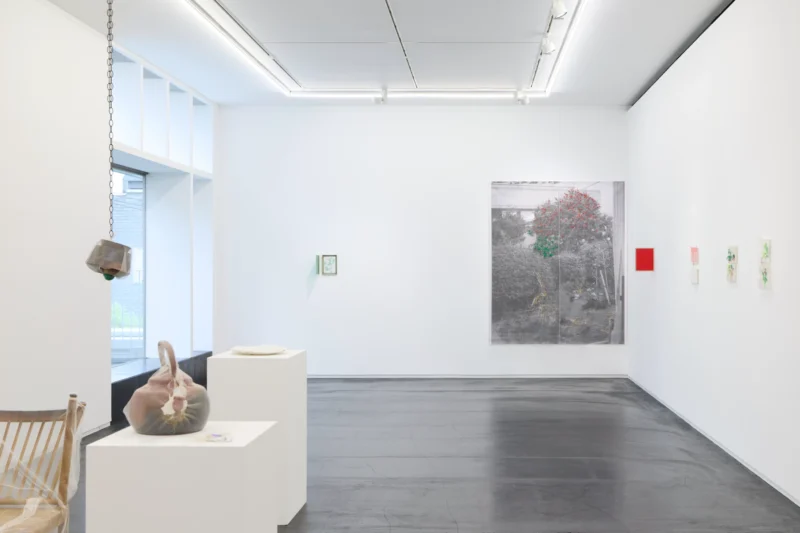 Installation shot from Kei Takemura: Garden Next Door, @ Taka Ishii Gallery