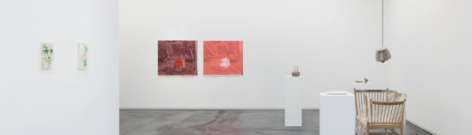 Image for Kei Takemura: Garden Next Door at Taka Ishii Gallery