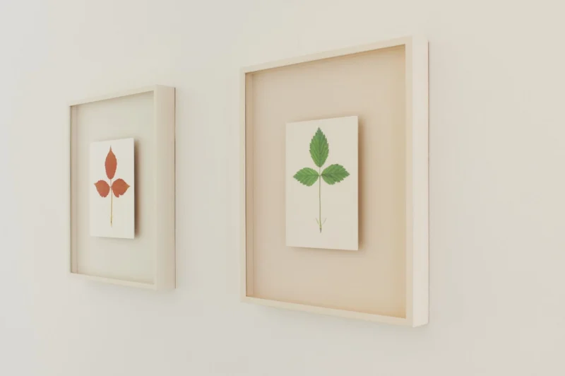 Installation shot from The Darkroom, The Dye Lab and The Kiln, @ Taste Contemporary