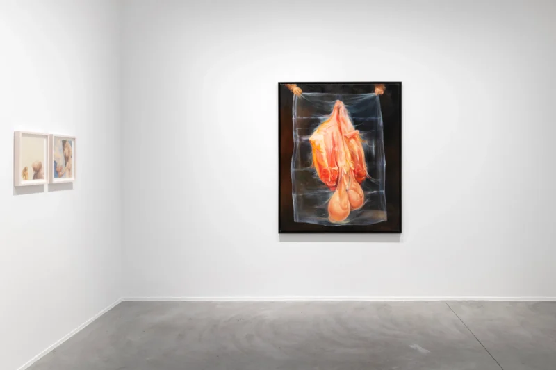 Installation shot from Oda Jaune: The Other, @ Templon