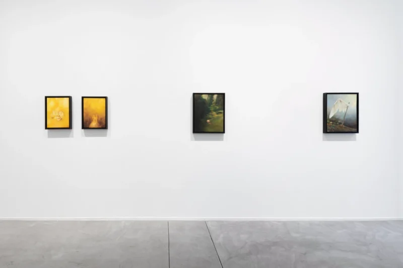 Installation shot from Oda Jaune: The Other, @ Templon
