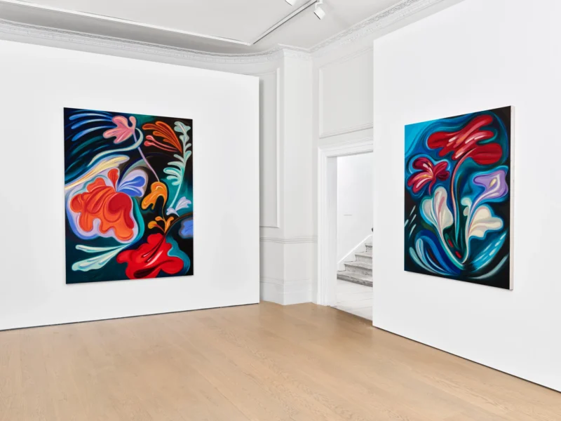 Installation shot from Hayal Pozanti: A Dream That Rhymed With Mine, @ Timothy Taylor