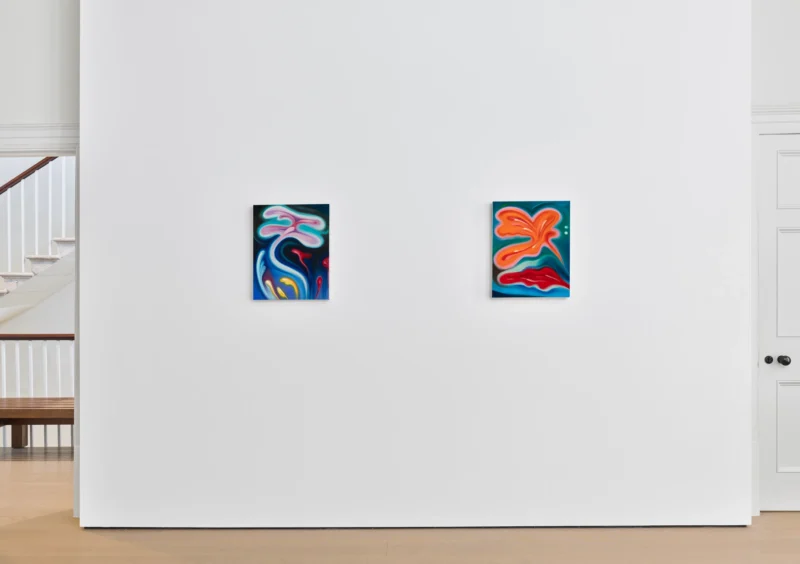 Installation shot from Hayal Pozanti: A Dream That Rhymed With Mine, @ Timothy Taylor