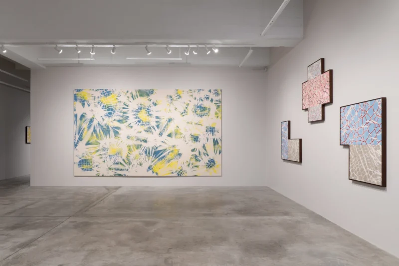 Installation shot from Maia Ruth Lee: Double Vision, @ Tina Kim Gallery