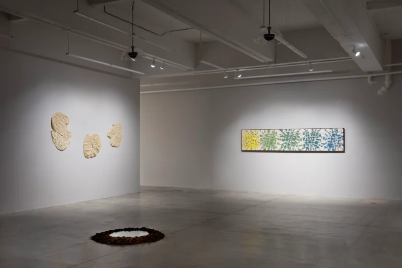 Installation shot from Maia Ruth Lee: Double Vision, @ Tina Kim Gallery
