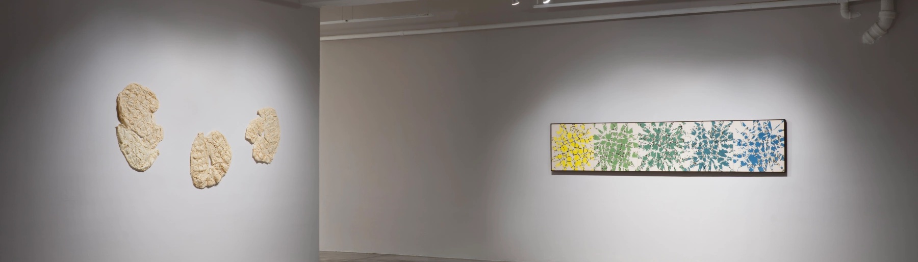 Image for our show of the day, Maia Ruth Lee: Double Vision, at Tina Kim Gallery