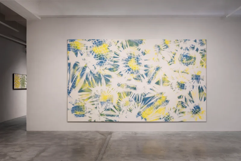 Installation shot from Maia Ruth Lee: Double Vision, @ Tina Kim Gallery