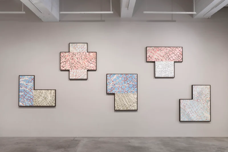 Installation shot from Maia Ruth Lee: Double Vision, @ Tina Kim Gallery